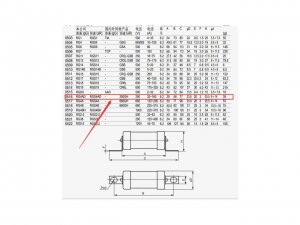 MIRO RGS4AD 250GH aR 250V ceramic fast blow fuse