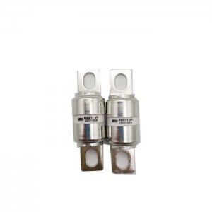 2 Pcs for MiRO RGS11 aR 250V fuse