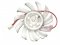 EVERFLOW T126010DH 12V 0.2A 3 wires 3 pins transparent 11 blades vga fan graphics card cooler