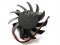 EVERFLOW T126010DL 12V 0.1A 2Wire Video Fan