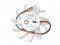 T&T 7CM 7010M12C NF2 12V 0.25A 3 Wires 3 Pins Frameless VGA Cooling Fan